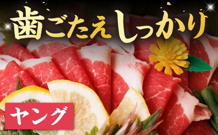 馬刺し ヤング 馬刺し 馬肉 桜肉 馬 肉 便利 小分け 3パック タレ付き 歯ごたえ 冷凍 刺身 九州 熊本県 送料無料 