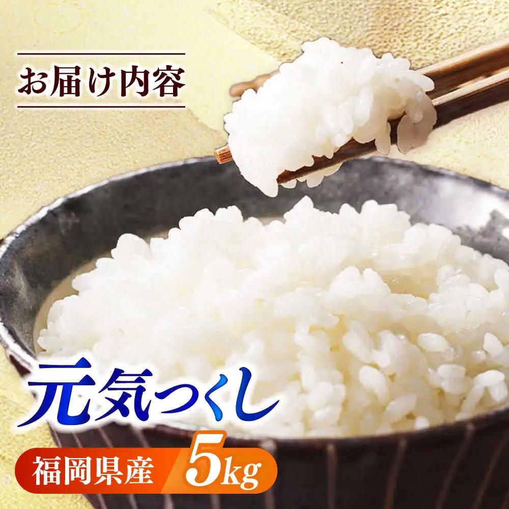 【令和7年産】果物屋さんが選んだ米 元気つくし 5kg 米 白米 お米 ブランド米[ABET010]