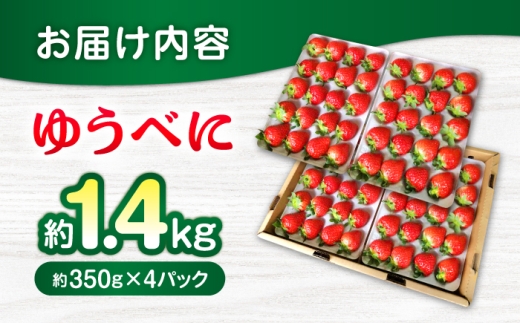 【先行予約】【2027年3月中旬より順次発送】いちご ゆうべに 百花園ファーム 約1.4kg（約350g×4P）20粒/P Lサイズ 【株式会社合志百花園ファーム】 [AYDW007]