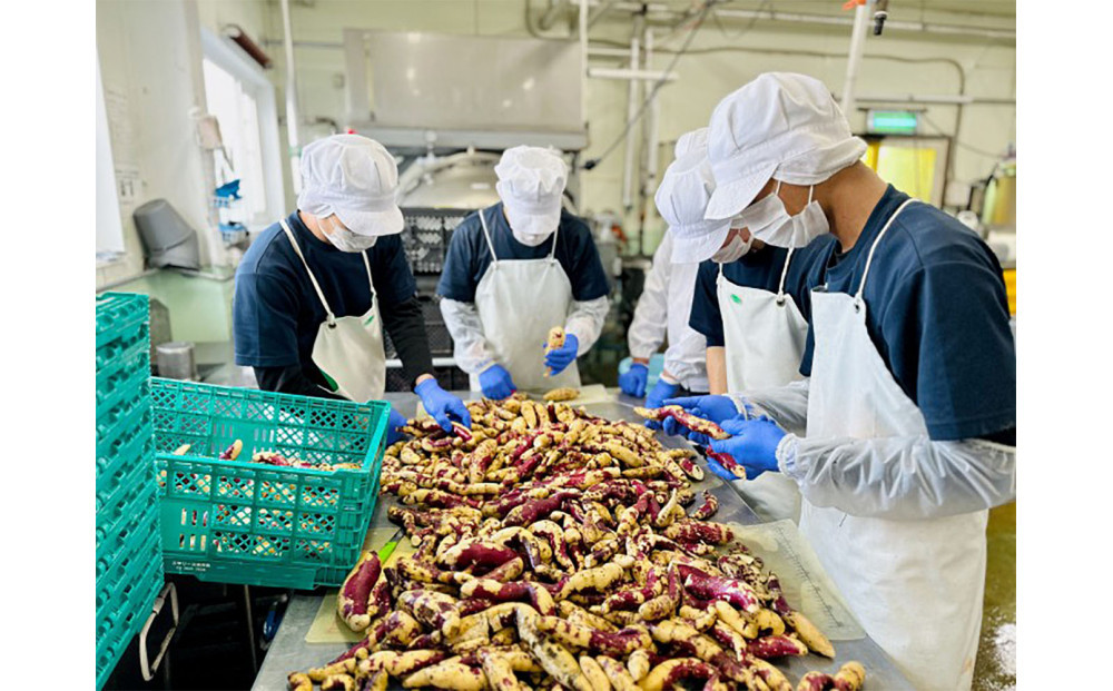 さつまいもラテ　10缶 【 ラテ ドリンク 飲み物 サツマイモ デザート 飲料 北海道 旭川市 】_04872