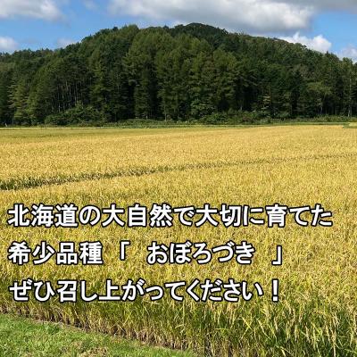 ふるさと納税 新ひだか町 <10月中旬から順次発送> 新米 令和7年度産 北海道米 おぼろづき 玄米 10kg (5kg×2) |  | 02