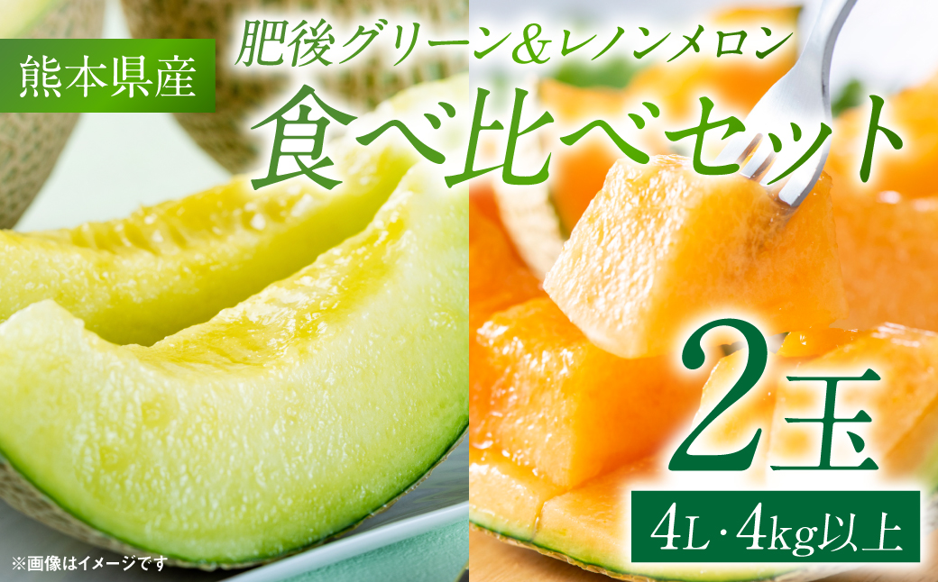 肥後グリーンメロン＆レノンメロン 食べ比べセット 合計2玉 4L以上（合計4kg以上） 青果物 くだもの フルーツ