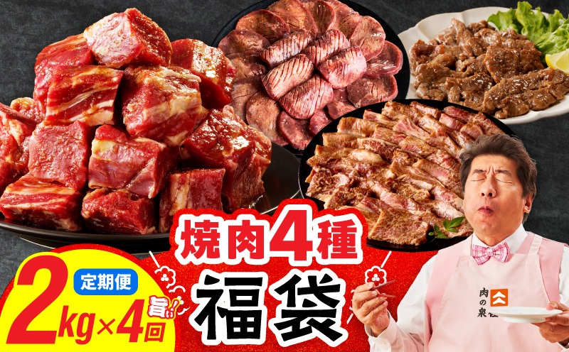 mrzZ028 焼肉 福袋 4種セット 定期便 2kg×4回【氷温熟成×特製ダレ 食べ比べ 小分け 500g 牛肉 牛タン ヒレ ハラミ バラ 数量限定 毎月配送コース】