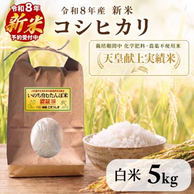 ふるさと納税 小松島市 【令和8年産新米】米 コシヒカリ 白米 5kg 天皇献上米 (栽培期間中)化学肥料・農薬不使用