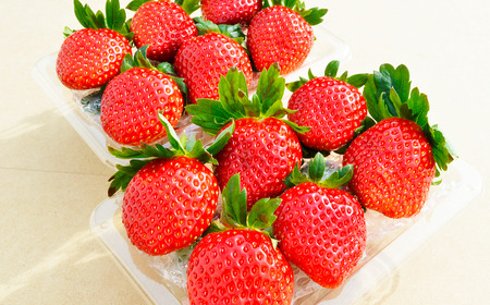 茨城県産とちおとめ 約540g いちご