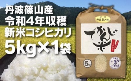 令和6年産 抜群の味と香り 丹波篠山産コシヒカリ5kg×1山椒醤油漬セット AD29