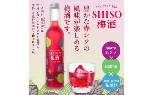 
鍛高譚の梅酒［500ml］【8本セット】
