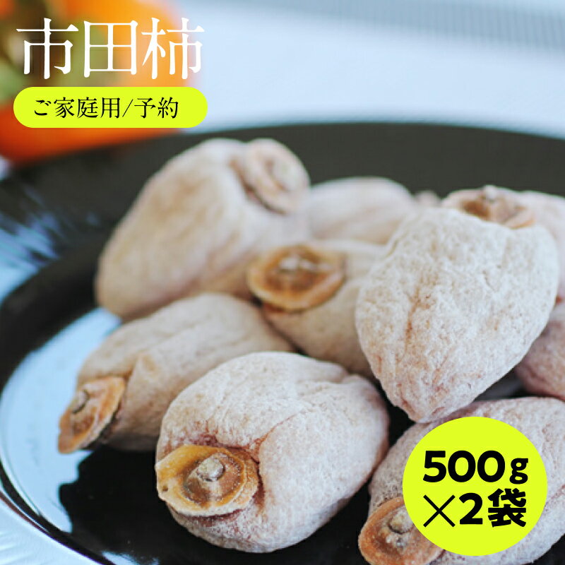 【ふるさと納税】信州の特産品『市田柿』ご家庭用 500g?2 ＜2026年1月上旬〜2月下旬発送＞ | 果物 くだもの フルーツ 柿 かき 市田柿 長野県 信州 南信州 飯田市 B07