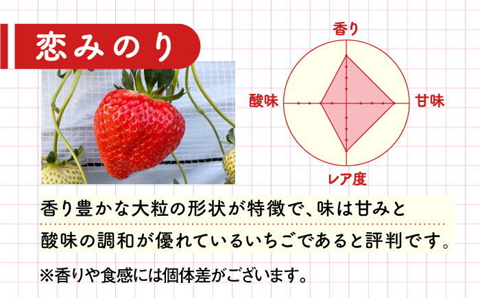 【五島特選！農家直送】ピチピチいちご 恋みのり 計540g （270g×2パック） いちご 五島市/野原農園 [PCM004]