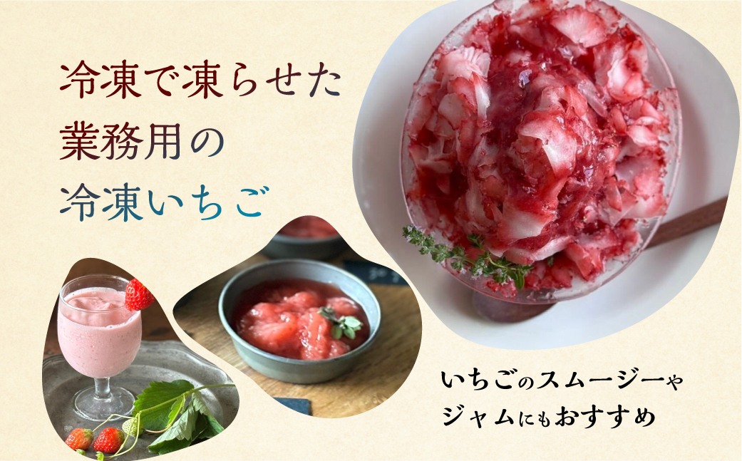 【2026年5月より発送】《 訳あり 》 冷凍いちご 品種おまかせ 3kg (500g × 6p) 簡易梱包 サイズ 不揃い のため 訳あり 訳アリ フルーツ 果物 苺 いちご イチゴ 紅ほっぺ よつ