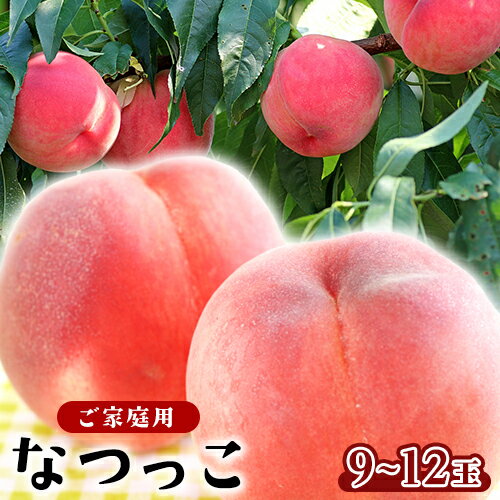 【ふるさと納税】和歌山県産 なつっこ 9〜12玉入り≪ご家庭用≫ 桃 モモ もも 株式会社松源《2026年7月中旬-8月上旬頃出荷》和歌山県 紀の川市