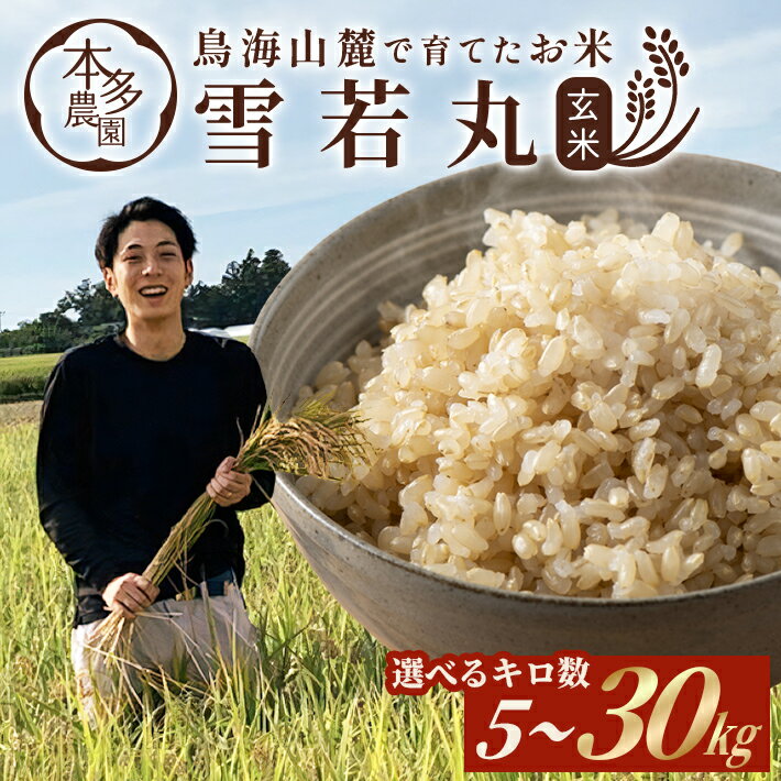 【ふるさと納税】雪若丸 玄米 令和7年産米 選べるキロ数 5kg～30kg 山形県酒田産 ※着日指定不可 東北 山形県 酒田市 庄内地方 庄内平野 米 おブランド米 ご飯 ごはん 5kg 10kg 20kg 30kg 農家直送 産地直送 本多農園