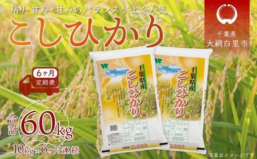 ＜6ヶ月定期便＞ 令和7年産 千葉県産「コシヒカリ」10kg×6ヶ月連続 計60kg A028