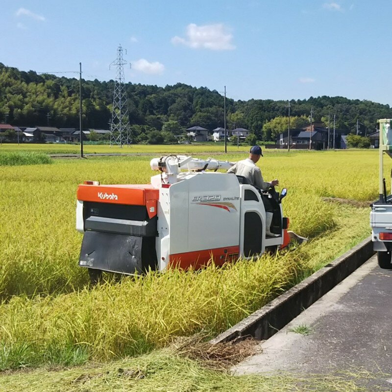 【ふるさと納税】予約【玄米】残りわずか／湧き水で育てる家族経営農家、京都・峰山長岡産 丹後こしひかり 玄米5kg 10kg 選べる 内容量 玄米 コシヒカリ 京都産 ふるさと納税 米 2025年産 ふるさと納税 コシヒカリ ふるさと納税 玄米 5kg