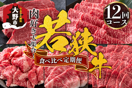 【肉の定期便×12回コース】肉好き大集合！若狭牛食べ比べ 定期便！【福井のブランド牛肉】【4等級以上】[O-054001]