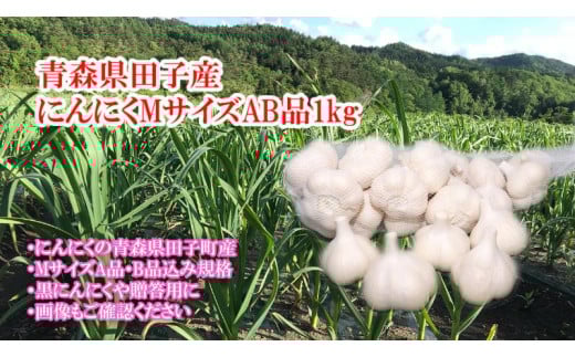 田子産にんにく約1kg（MサイズA～B品）