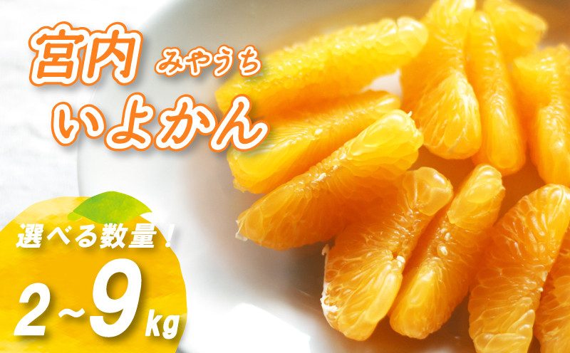 
【1-3月下旬発送】 宮内いよかん 2kg / 4kg / 9kg 数量選択可 いよかん 伊予柑 みかん 数量限定 みかん 愛媛県産 みかん いよかん 伊予柑 松山市 みかん 中島 みかん いよかん 伊予柑 みかん 蜜柑 いよかん 伊予柑 イヨカン みかん いよかん 伊予柑 愛媛県 松山市 NO016
