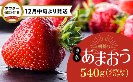 【12月中旬より順次発送】農家直送 朝採り新鮮いちご【博多あまおう】約270g×2パック_農家直送 朝採れ 新鮮 いちご 博多 あまおう 約 270g × 2パック 苺専用 パッケージ 包装 味 鮮度 妥協なし 生食 スイーツ ジュース 家族 贈答用 パーティー グルメ フルーツ 果物 お取り寄せ 福岡県 久留米市 送料無料_Fi061
