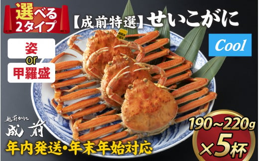 【先行予約】選べる！美味しさ直送【成前特選】せいこがに（190g～220g）×5杯【年内発送・年末年始対応】甲羅盛【J-028011_07】