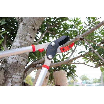 ふるさと納税 三木市 ふるさと納税限定!太枝切鋏と雑草スクレーパーの秀逸道具セット |  | 03