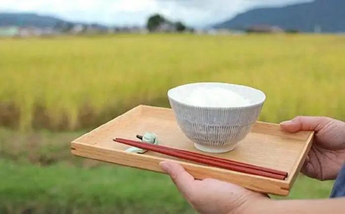 【令和7年】【定期便】南魚沼産塩沢コシヒカリ【従来品種】（特別栽培米８割減農薬）精米５ｋｇ×全３回｜コシヒカリ