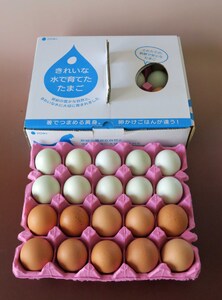 【12回定期便】きれいな水で育てた卵 赤たまご 青たまご（ アローカナ ）ミックス 各10個 計20個  | 保坂農場