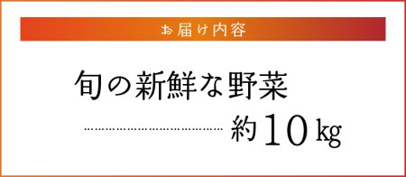 福岡県久留米市産 新鮮野菜セット_福岡県 久留米市産 新鮮野菜 セット 10品目 約10kg 旬の野菜 詰め合わせ 新鮮 季節 野菜 水菜 小松菜 ほうれん草 アスパラ キャベツ オクラ レイシ トマ