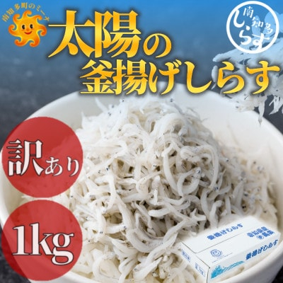 
訳あり 釜揚げしらす 1kg(箱入り)こだわりの塩で減塩・甘塩仕上げ 少し大きめのシラス【1467630】
