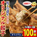 【ふるさと納税】餃子の惑星オリジナル餃子(100個)ぎょうざ ギョーザ 蒸し 揚げ スープ 中華 点心 おつまみ 夜食 惣菜 冷凍 【m06-16】【株式会社夢職人】