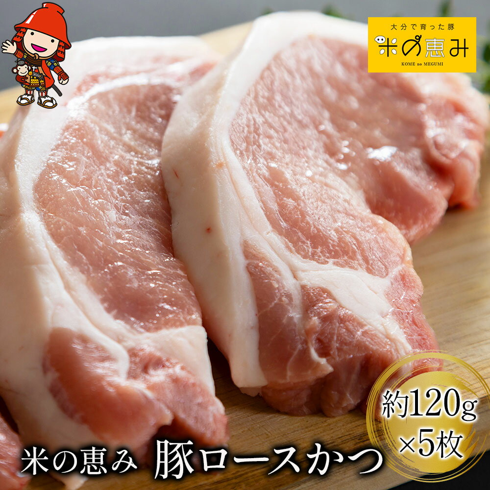 【ふるさと納税】「米の恵み」 豚ロースかつ 約120g×5枚 | お肉 肉 おにく にく 豚 豚肉 ロース ブランド豚 ロースかつ とんかつ トンカツ 惣菜 おかず 冷凍 国産 大分県産 九州産 大分県 中津市 送料無料