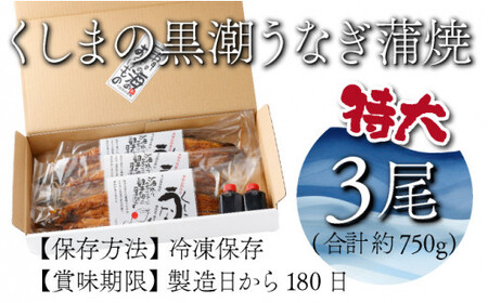 OTUTD-3 【数量限定】特大くしまの黒潮うなぎ蒲焼３尾（合計750g前後）【大田商店】