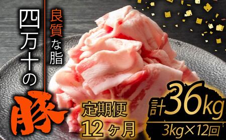 【定期便12回】四万十ポークスライス 計36kg（3kg×12ヶ月連続お届け) 2Pコース | 豚肉 豚バラ肉 小分け 小間切れ スライス 切り落とし 冷凍 真空パック 簡単調理 細切れ 大容量 肉 