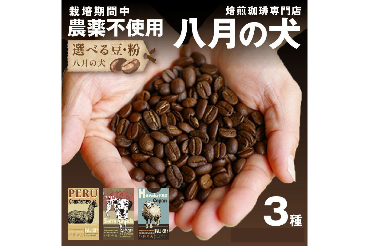 
            【栽培期間中農薬不使用】自家焙煎コーヒー豆 500g（250g×2） 約50杯分 （3種よりお選びください）小分け　豆・粉 選べる　コロンビア産・ホンジュラス産・ペール―産コーヒー豆　HA00011・HA00012・HA00013
          