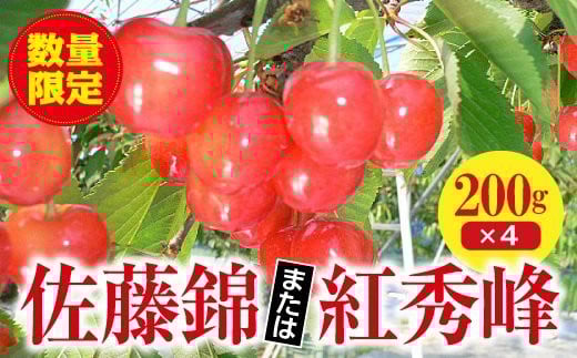 
＜先行予約＞《福島県》伊達市産 さくらんぼ 佐藤錦 または紅秀峰 （200g×４パック） F20C-123

