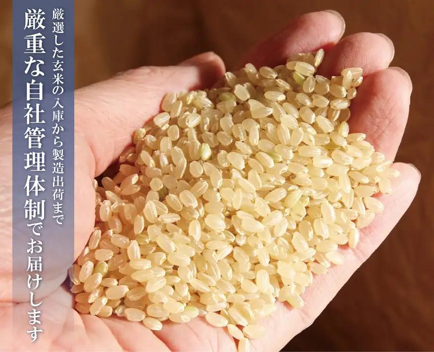 Z17-81 無洗米 元気つくし10kg定期便(隔月・年6回)