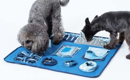 愛犬用多機能遊具「デニマット」