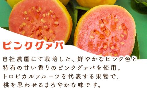 KU112 まるで果実を食べているような！グァバドリンク3本セット(各720ml)【宮崎果汁】