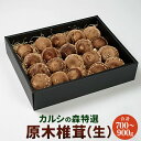 【ふるさと納税】カルシの森特選 原木椎茸（生） 椎茸 しいたけ シイタケ 生椎茸【Y-1301】