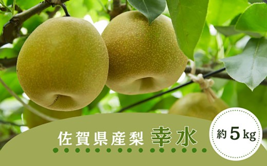 【2026年発送分 先行予約】佐賀県産 梨（幸水）5.0㎏ / 佐賀県 /佐賀県農業協同組合　さが風土館季楽直販本店  [41AABE113]