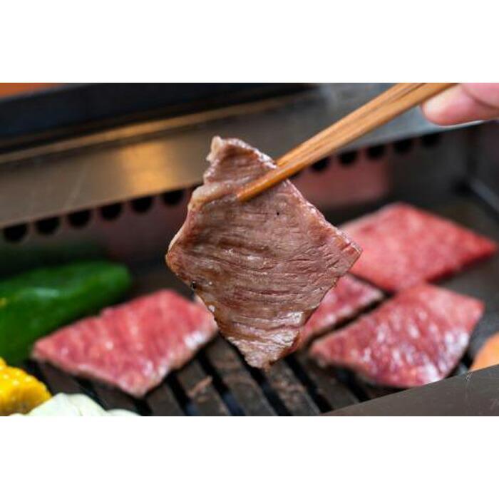 熊野牛 リブロース 焼肉用 500g【MT21】　CF50_イメージ3