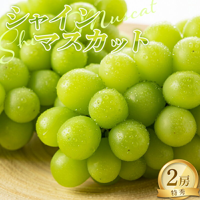 【ふるさと納税】 【令和8年産先行予約】 シャインマスカット 約1kg以上 (2房入り 特秀) 《令和8年9月上旬～発送》 『NOWAフルーツ』 マスカット ぶどう 果物 フルーツ デザート 山形南陽産 山形県 南陽市 [2064-R8]