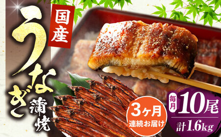 【全3回定期便】福岡県産 うなぎ 蒲焼 大 10尾 計1,600g（1尾あたり 160g以上）[VAD027] 国産 鰻 ウナギ 蒲焼き