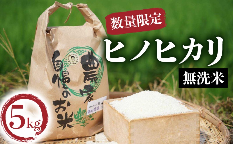 
            【先行予約】 令和7年度産 ヒノヒカリ 一等米 無洗米 5kg 京都 お米  ごはん つや 5キロ 白米 おいしい ブランド 久御山 ひのひかり【数量限定】
          