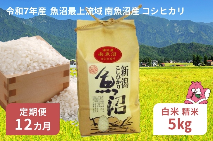 
            令和7年産 5kg 【12か月定期便】〈白米〉 魚沼最上流域 南魚沼産 コシヒカリ 精米したてのお米をお届け 【湯沢産 コシヒカリ】
          
