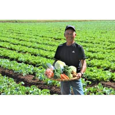 ふるさと納税 松浦市 農漁村体験の聖地「松浦党の里」旬の野菜セット