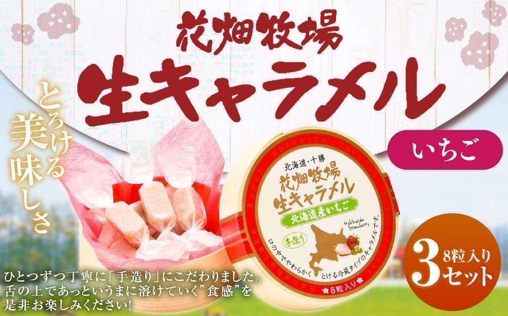 
            花畑牧場 生キャラメル 北海道産いちご 8粒入り×3セット キャラメル お菓子 おやつ いちご 苺 ストロベリー 冷蔵 [002-0084]
          