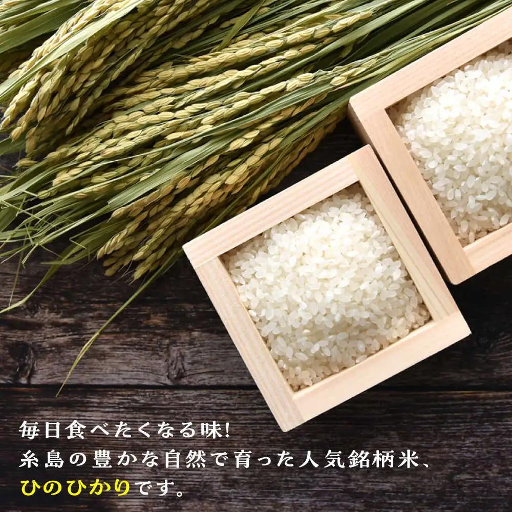  糸島産 ひのひかり 10kg 糸島市 / 三島商店 [AIM004] 米 白米