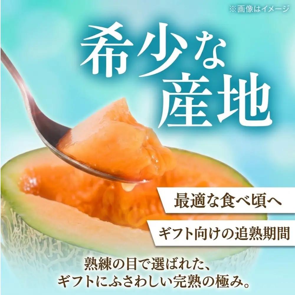 【2027年先行予約】おいわけメロン 1.6kg以上 1玉【9月配送】北海道安平町産 赤肉メロン 糖度16度以上 甘い くだもの フルーツ 採れたて 産地直送 ギフト お中元 ※着日指定不可
