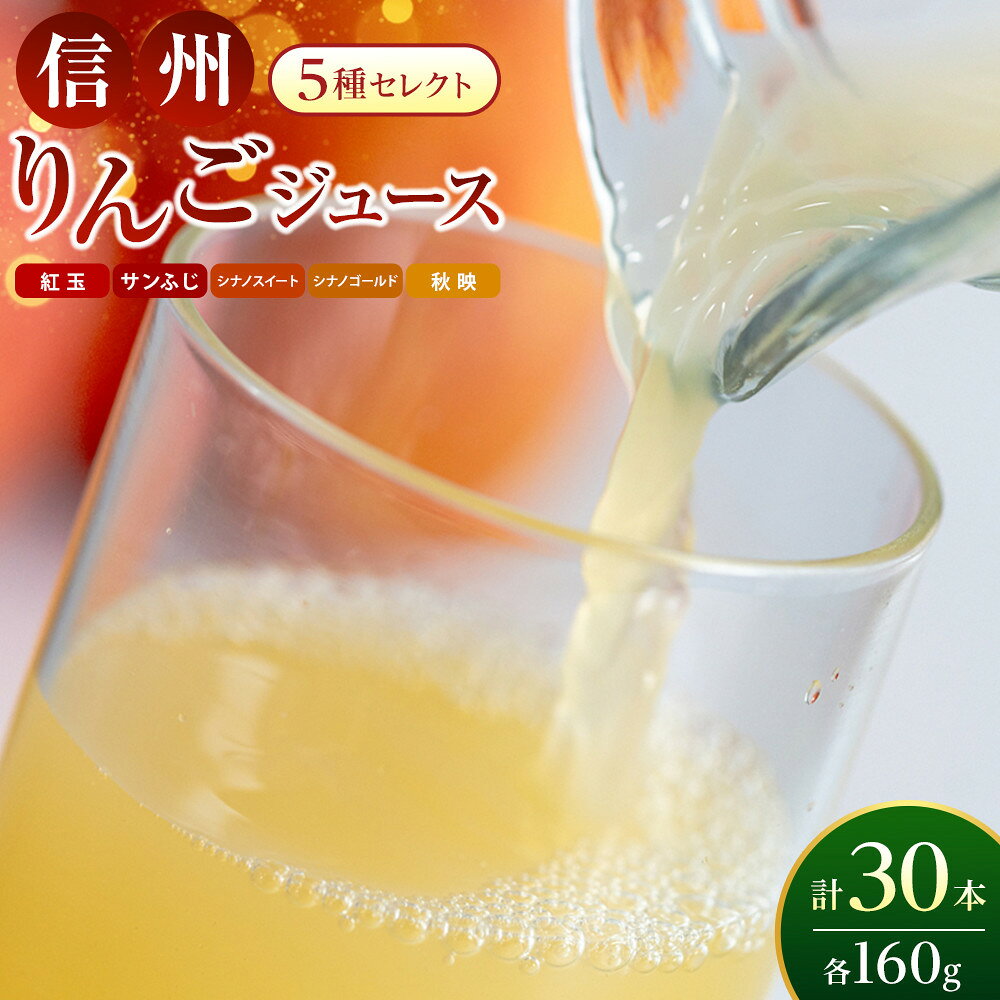 【ふるさと納税】信州りんごジュース5種セレクト(紅玉・サンふじ・シナノスイート・シナノゴールド・秋映) 160g×6本×5品種 計30本入 リンゴ ジュース りんご 林檎 果汁 果実飲料 缶 お土産 ギフト 行事 長野 | ジュース りんご 飲料 長野 信州 ふるさと納税