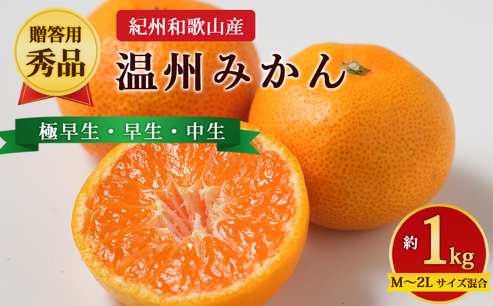 【先行予約】【贈答用・秀品】紀州和歌山産 温州みかん 約1kg（箱込み）M～2L サイズ混合（極早生・早生・中生）
